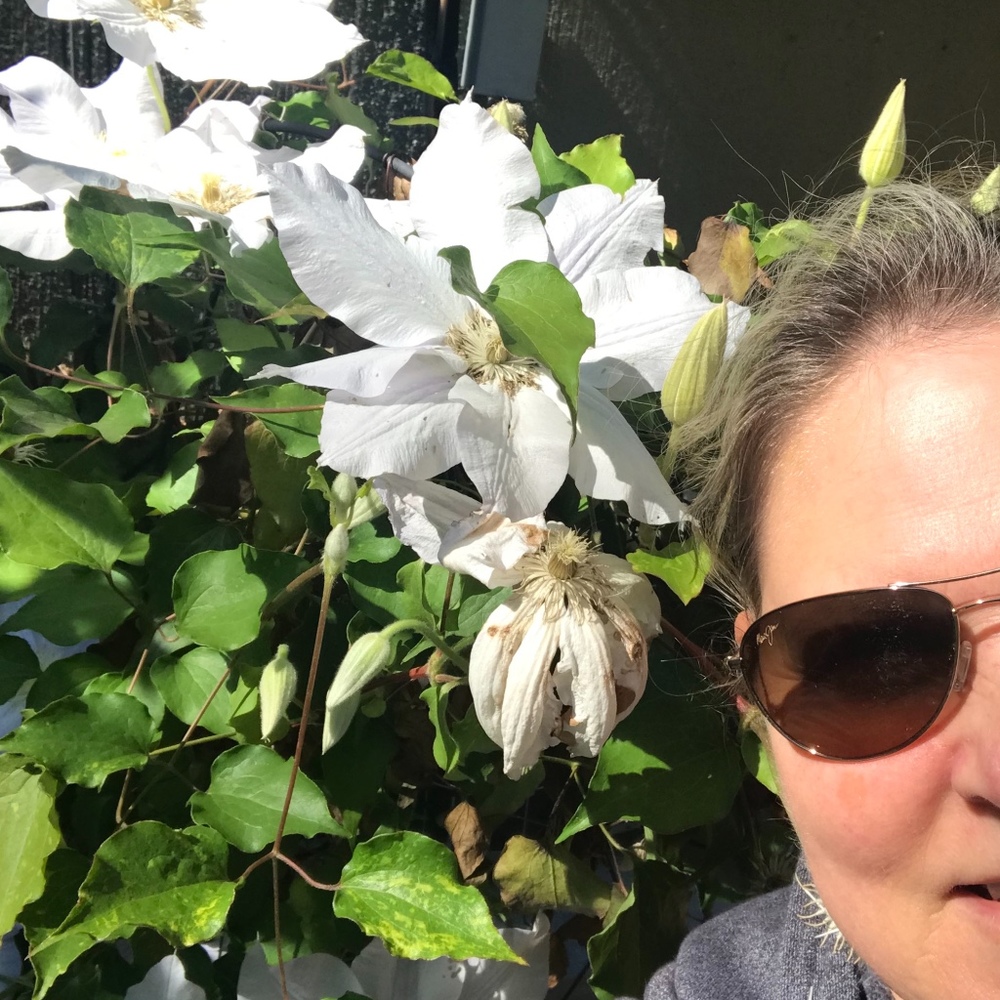 Meet your Posher, Suzanne